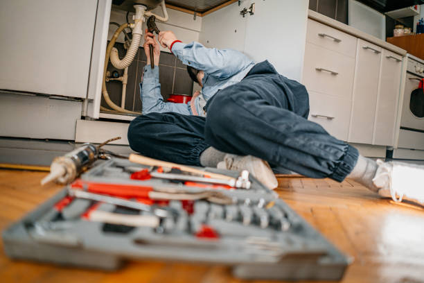  Geneva, IL Plumbing Pros