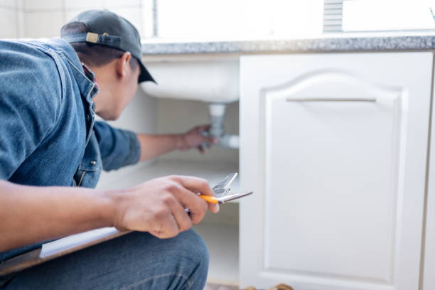 Best Plumbing Inspection Services  in Geneva, IL